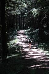 Sept._4_5_Your_own_way