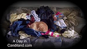 4_Cat_in_Laundry