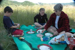 7_Picnic